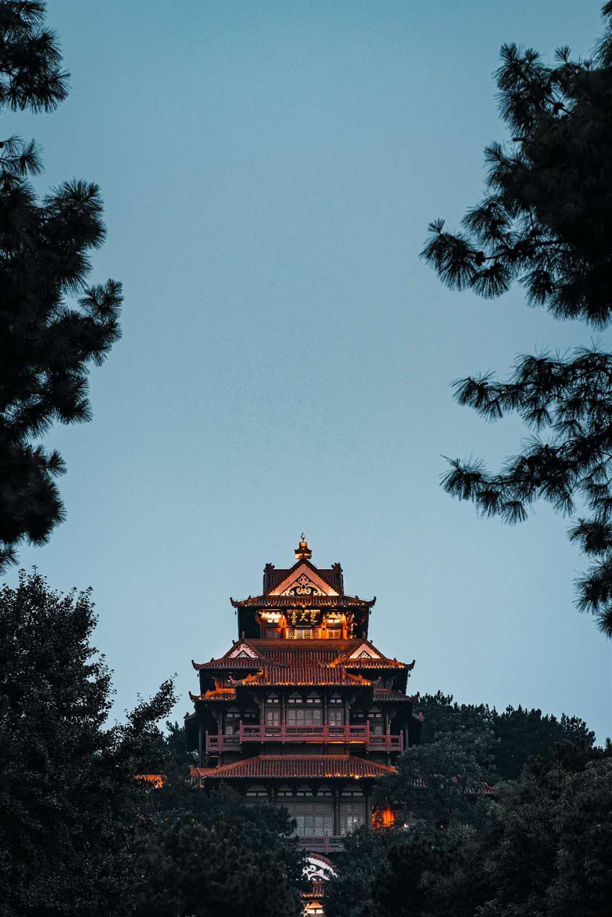 彩金论坛